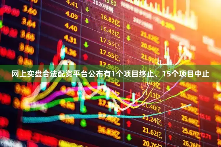 网上实盘合法配资平台公布有1个项目终止、15个项目中止