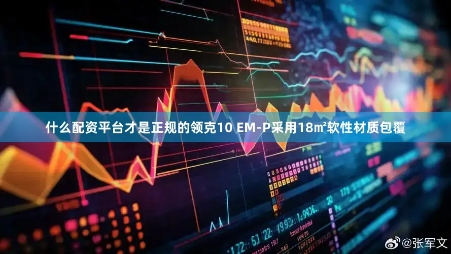 什么配资平台才是正规的领克10 EM-P采用18㎡软性材质包覆