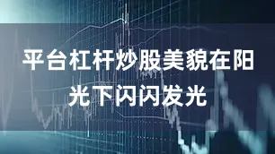 平台杠杆炒股美貌在阳光下闪闪发光