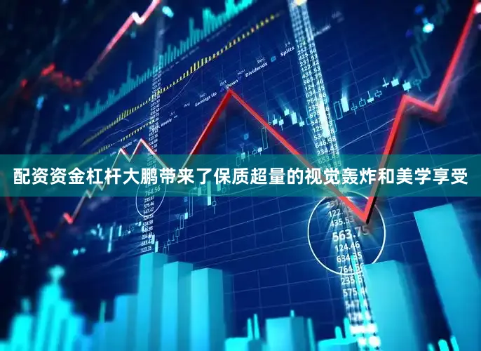 配资资金杠杆大鹏带来了保质超量的视觉轰炸和美学享受