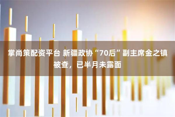 掌尚策配资平台 新疆政协“70后”副主席金之镇被查，已半月未露面